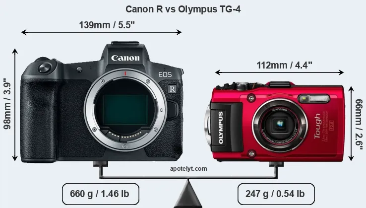 Size Canon R vs Olympus TG-4