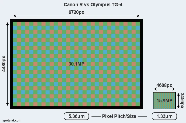 Canon R versus TG-4 MP