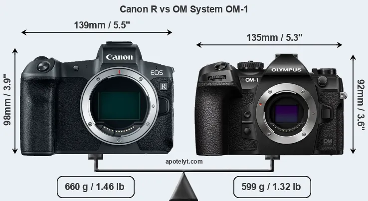 Size Canon R vs OM System OM-1