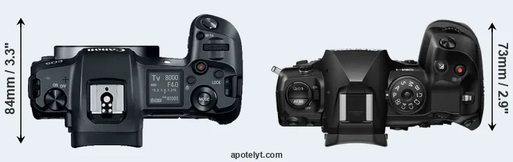 Compare Canon R versus OM-1 II top