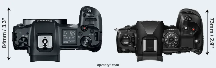 Compare Canon R versus OM-1 top