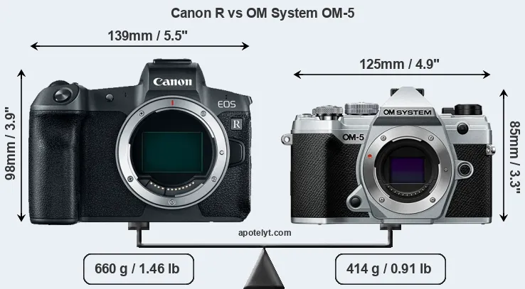 Size Canon R vs OM System OM-5