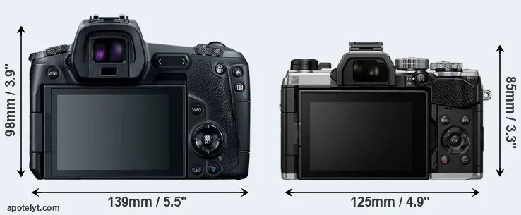 Comparison Canon R or OM-5 rear