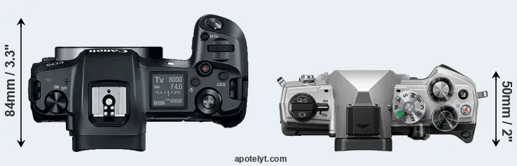 Compare Canon R versus OM-5 top