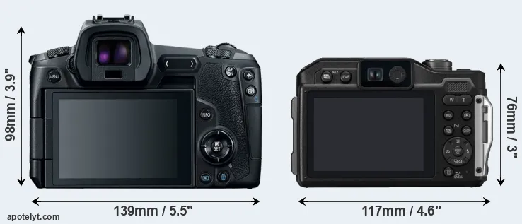 Comparison Canon R or FT7 rear