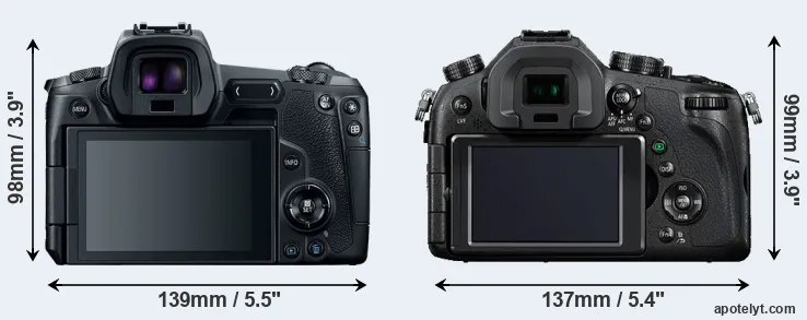 Comparison Canon R or FZ1000 rear