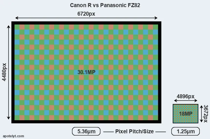 Canon R versus FZ82 MP