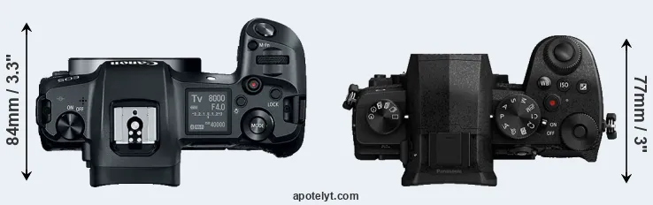 Compare Canon R versus G90 top