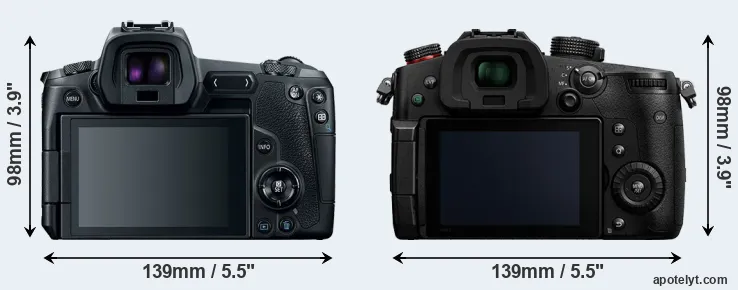 Comparison Canon R or GH5 II rear