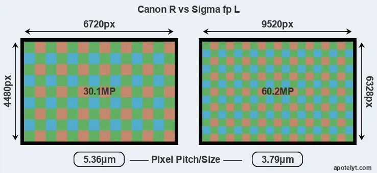 Canon R versus fp L MP