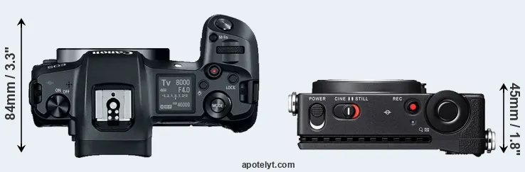 Compare Canon R versus fp L top