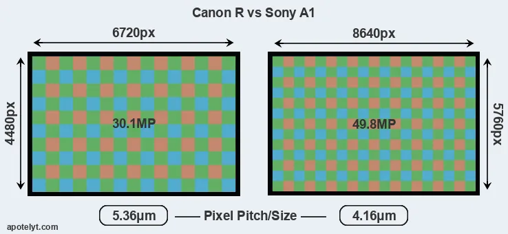 Canon R versus A1 MP