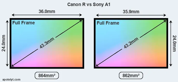 Canon R and Sony A1 sensor measures