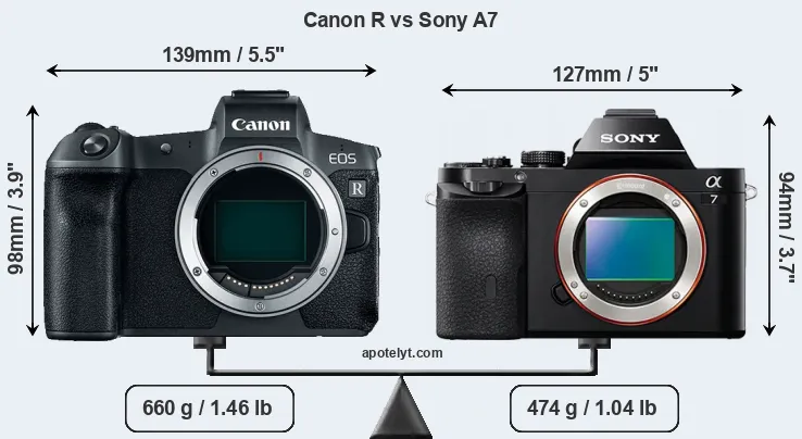 Size Canon R vs Sony A7
