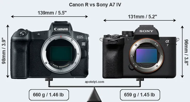 Size Canon R vs Sony A7 IV