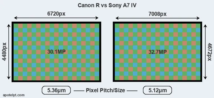 Canon R versus A7 IV MP