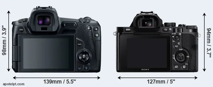 Comparison Canon R or A7 rear