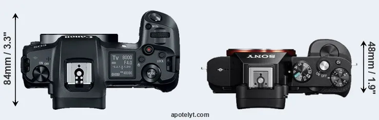 Compare Canon R versus A7 top