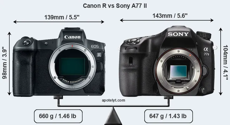 Size Canon R vs Sony A77 II