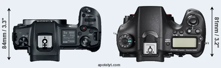 Compare Canon R versus A77 II top