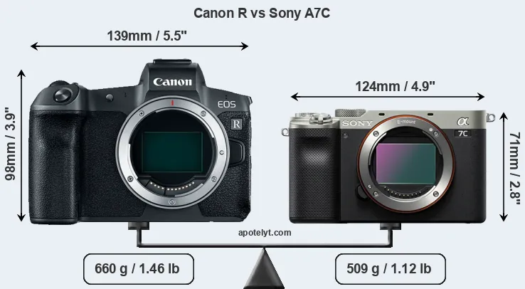 Size Canon R vs Sony A7C