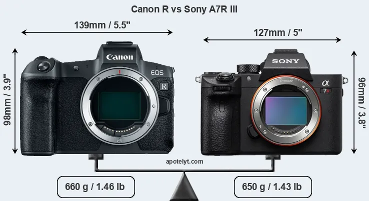 Size Canon R vs Sony A7R III