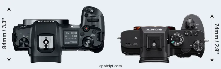 Compare Canon R versus A7R III top