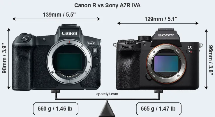 Size Canon R vs Sony A7R IVA