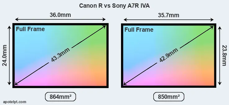 Canon R and Sony A7R IVA sensor measures