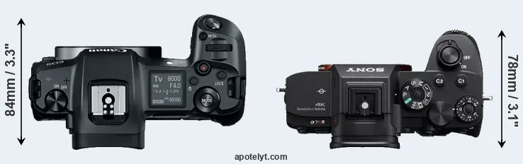 Compare Canon R versus A7R IVA top