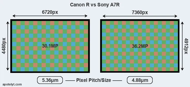 Canon R versus A7R MP