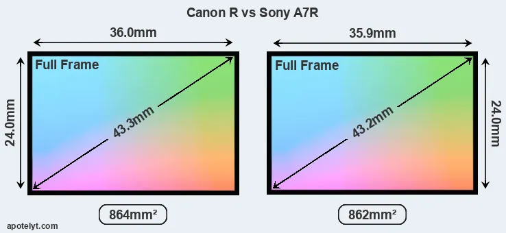 Canon R and Sony A7R sensor measures