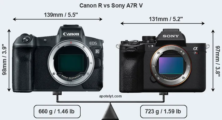 Size Canon R vs Sony A7R V