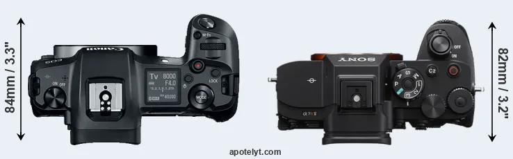 Compare Canon R versus A7R V top