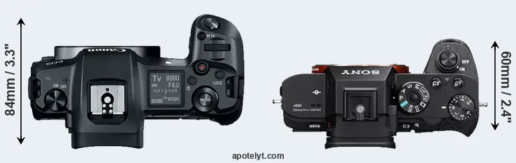 Compare Canon R versus A7S II top