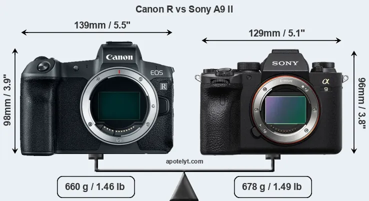 Size Canon R vs Sony A9 II