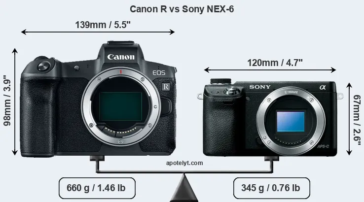 Size Canon R vs Sony NEX-6