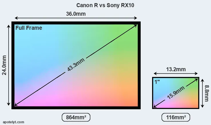 Canon R and Sony RX10 sensor measures