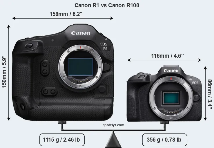 Size Canon R1 vs Canon R100