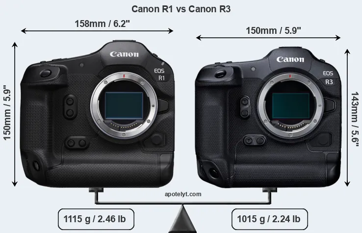 Size Canon R1 vs Canon R3