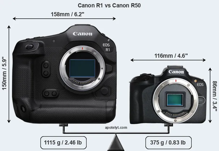 Size Canon R1 vs Canon R50