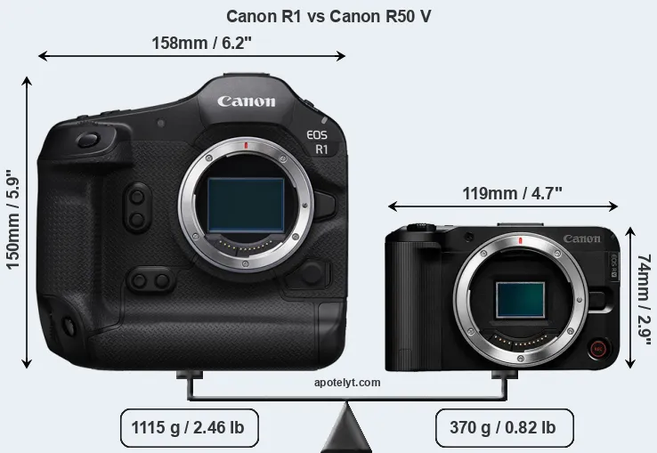 Size Canon R1 vs Canon R50 V