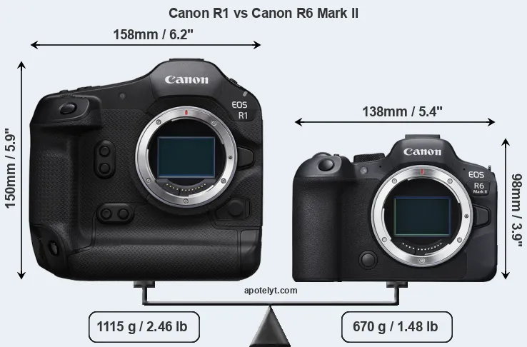 Size Canon R1 vs Canon R6 Mark II