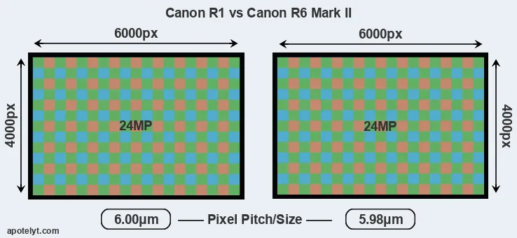 R1 versus R6 Mark II MP