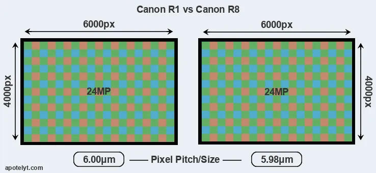R1 versus R8 MP