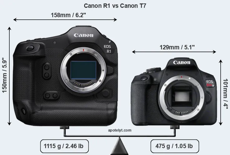 Size Canon R1 vs Canon T7