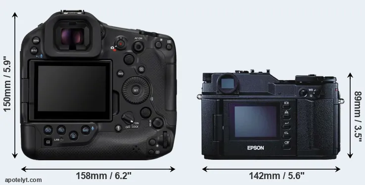 Comparison R1 or R-D1 rear