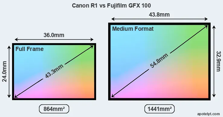 Canon R1 and Fujifilm GFX 100 sensor measures