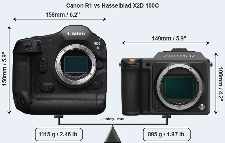 Size Canon R1 vs Hasselblad X2D 100C