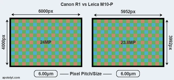 R1 versus M10-P MP